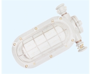 湖南矿用隔爆型LED支架灯